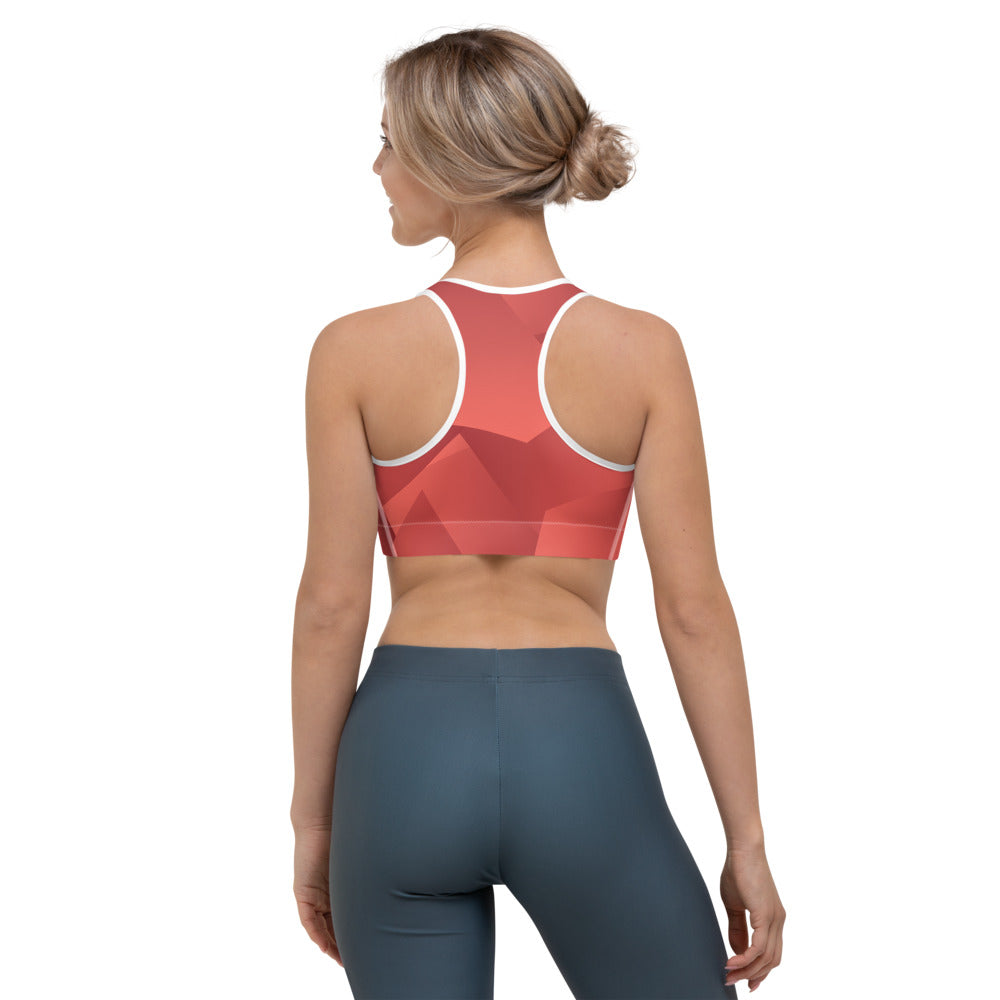 Dark Crimson Sports bra
