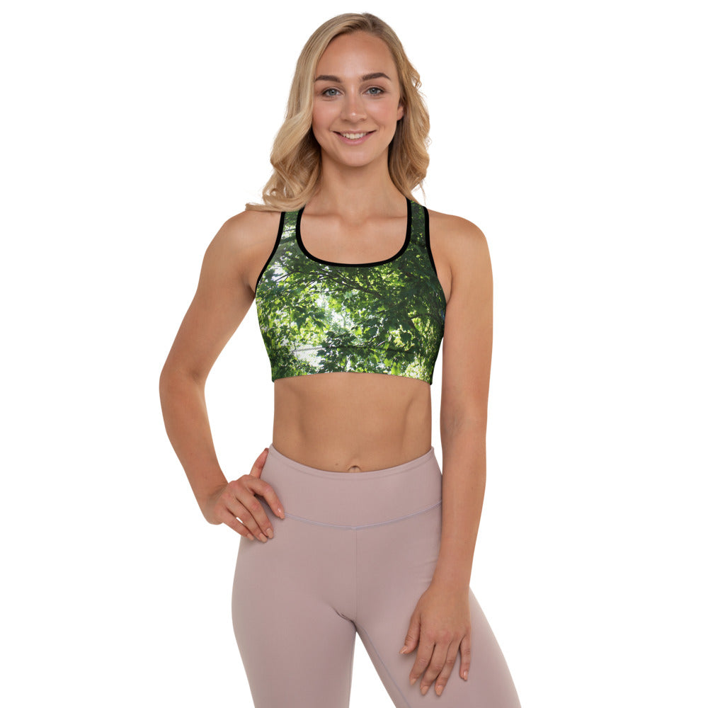 Forest Padded Sports Bra